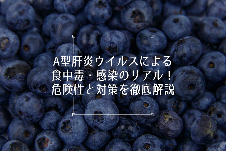 A型肝炎ウイルスによる食中毒・感染のリアル！危険性と対策を徹底解説