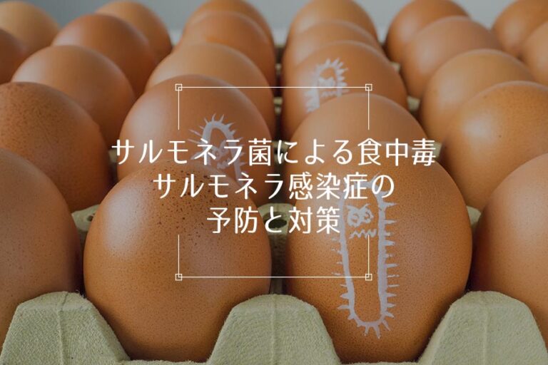 食品からサルモネラ菌を除去するにはどうすればよいですか?
